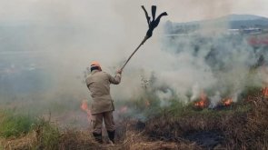 Taubaté: Taubaté registra 104 ocorrências com fogo em vegetação no ano